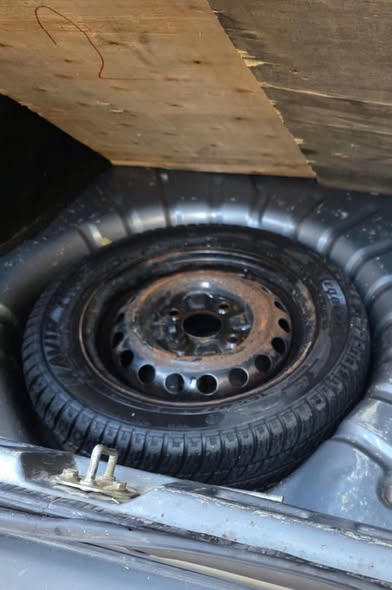 سايبا سابا 2011 - صورة 4