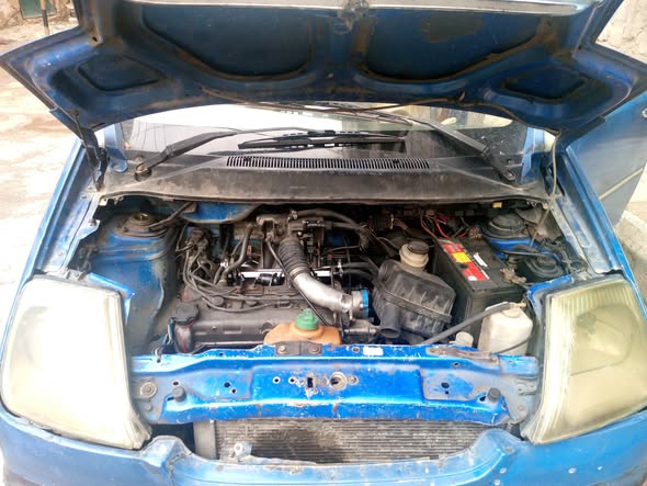 هافي لبو 2006 - صورة 4