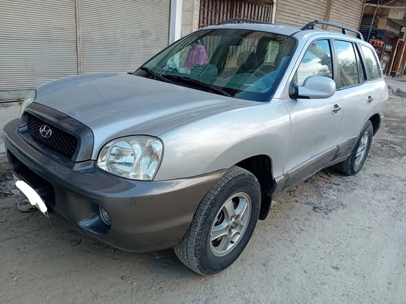 هيونداي سانتافيه 2003 - صورة 3