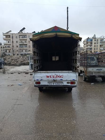 وولينغ وولينغ 2010 - صورة 3