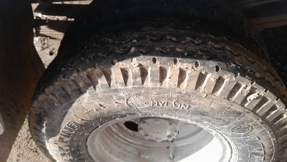 شانزو شانزو 2006 - صورة 2