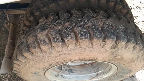 شانزو شانزو 2006 - صورة 4