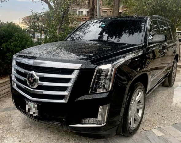 كاديلك اسكاليد 2015 - صورة 2