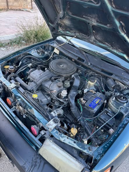 بيردوا كيليسا 2006 - صورة 5