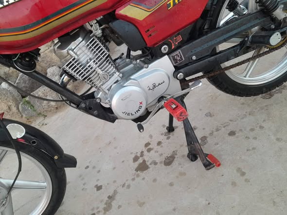 جيلينج 150 2025 - صورة 3