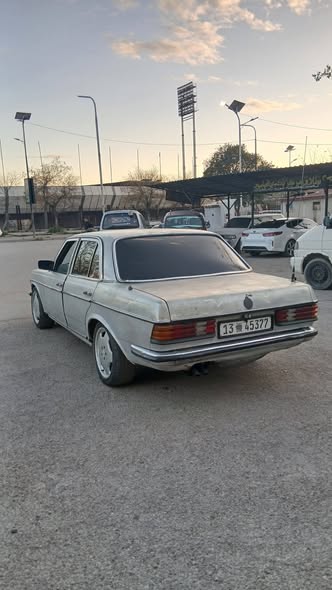 مرسيدس 230 1977 - صورة 5