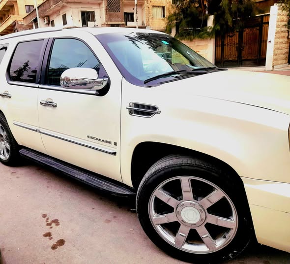 كاديلاك اسكاليد 2010 - صورة 4