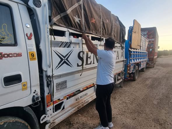 كيا 4000 2004 - صورة 5