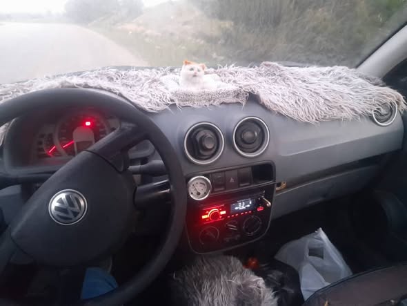 فولكس فاجن سافيرو 2006 - صورة 5