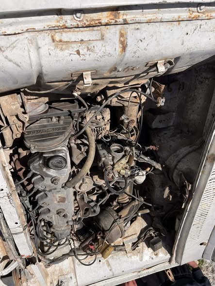 سيمكا سيمكا 1976 - صورة 4