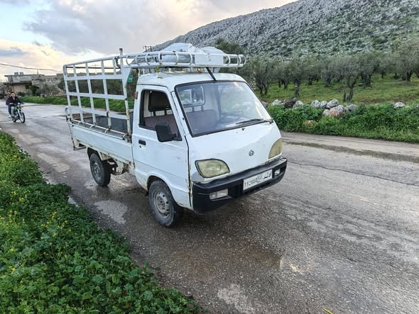 شانا قطة 2007 - صورة 2