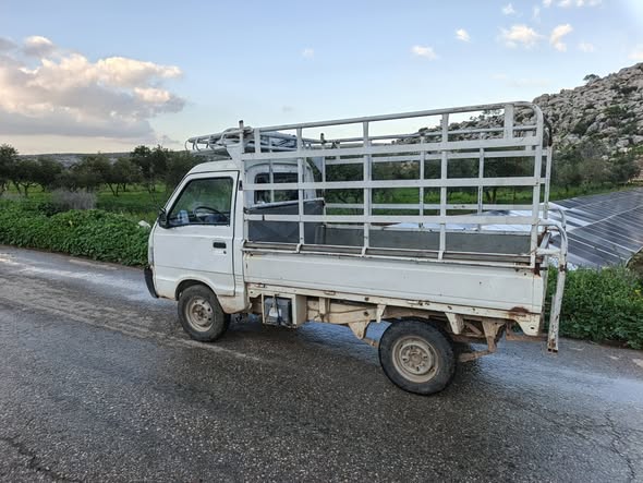 شانا قطة 2007 - صورة 3