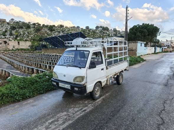 شانا قطة 2007 - صورة 4