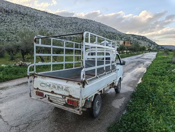 شانا قطة 2007 - صورة 5