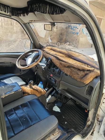 هافي سونك 2011 - صورة 5