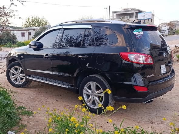 هيونداي سانتا في 2011 - صورة 5