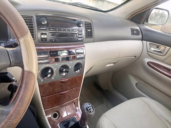 بي واي دي اف 3 2009 - صورة 3