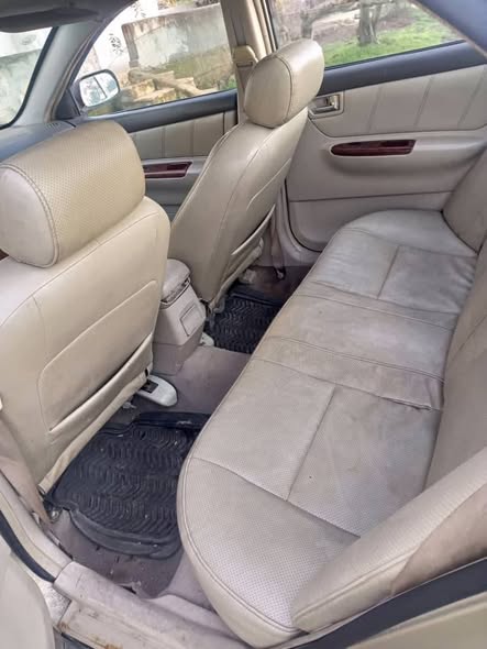 بي واي دي اف 3 2009 - صورة 5