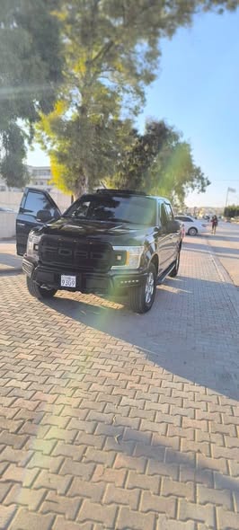 فورد F-150 2019 - صورة 4