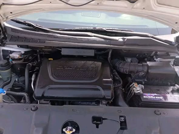 كيا كرنفال 2010 - صورة 3