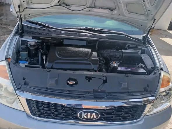 كيا كرنفال 2010 - صورة 4