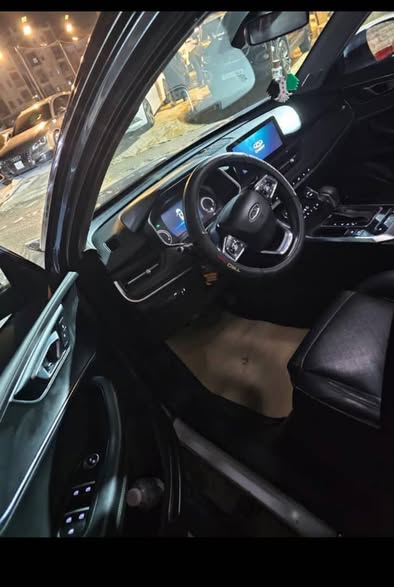 شيري تيغو 8 2020 - صورة 4