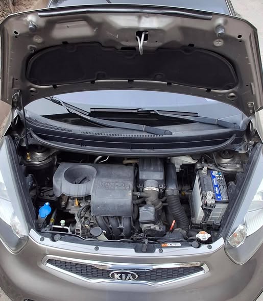 كيا بيكانتو 2015 - صورة 5