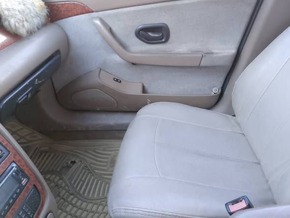 شام شام 2007 - صورة 1