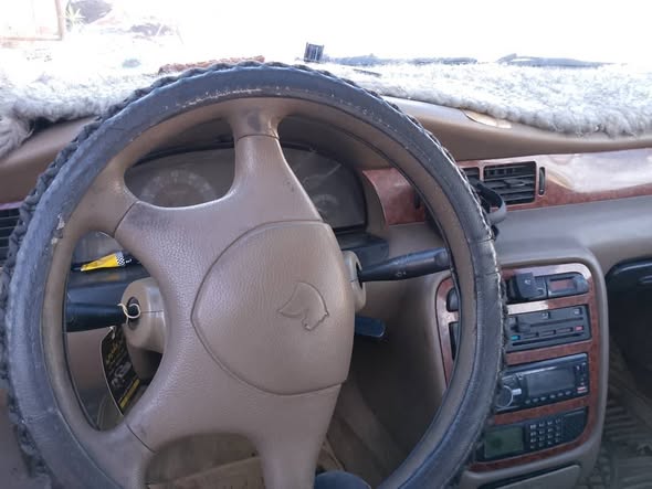 شام شام 2007 - صورة 3