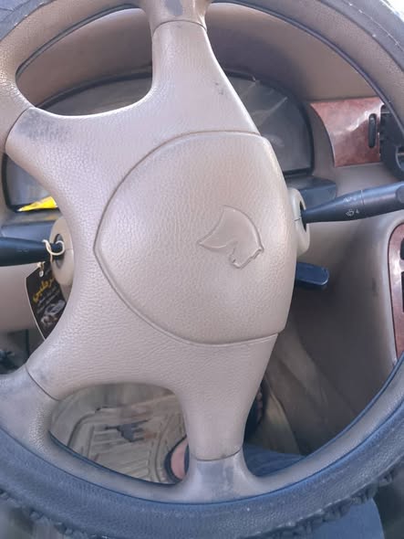 شام شام 2007 - صورة 5