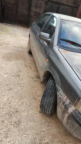 شام شام 2008 - صورة 1