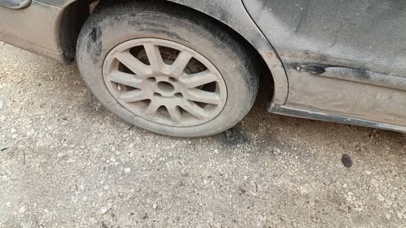 شام شام 2008 - صورة 3