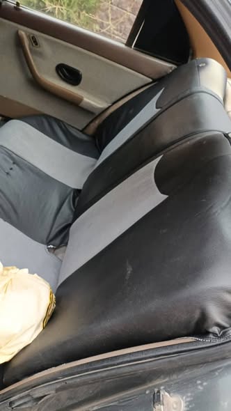 شام شام 2008 - صورة 4