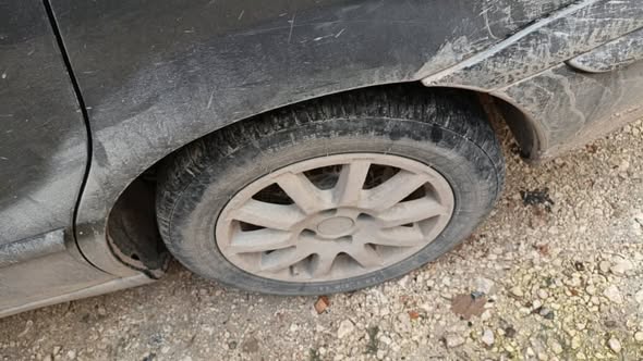 شام شام 2008 - صورة 5