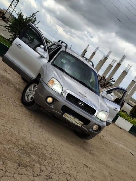 هيونداي سنتافي 2004 - صورة 3