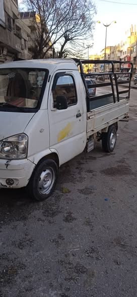 فاو بيك أب 2010 - صورة 2