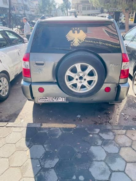 شيري تيغو 2011 - صورة 3