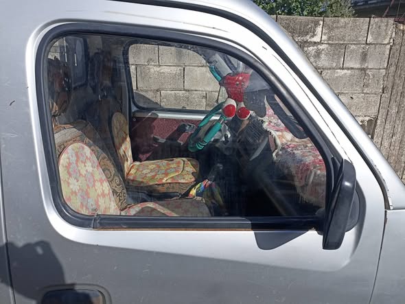 شانا شانا 2009 - صورة 1