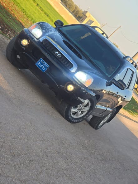 هيونداي سنتافي 2005 - صورة 3