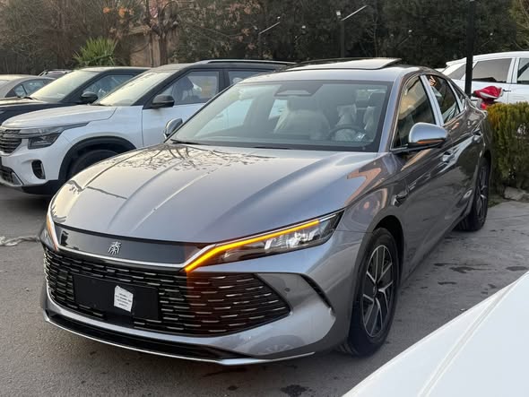 بي واي دي كين إل 2025 - صورة 5