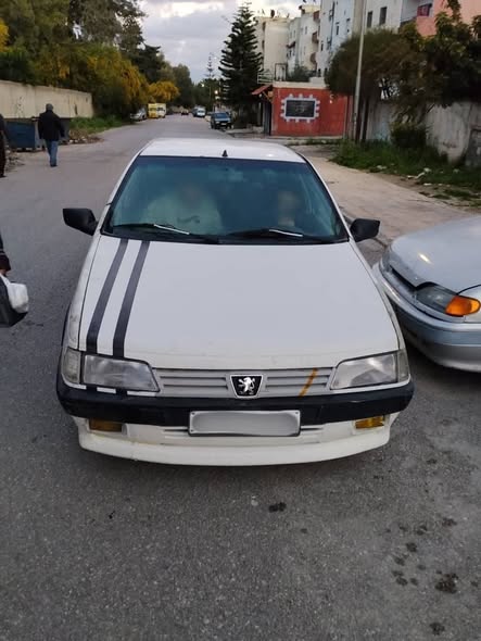 بيجو 405 1993 - صورة 1