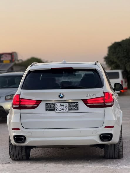 بي إم دبليو اكس 5 2014 - صورة 2