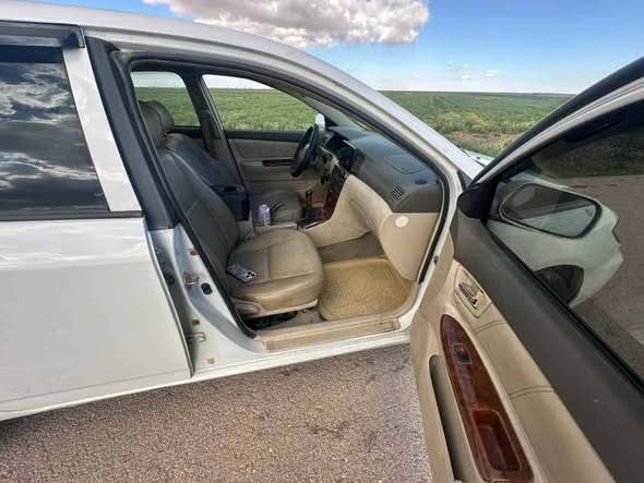 بي واي دي اف 3 2012 - صورة 1