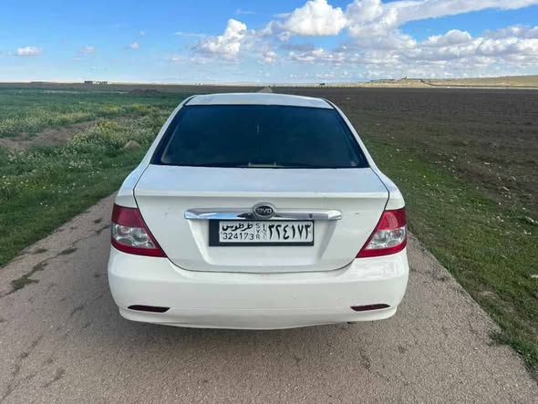 بي واي دي اف 3 2012 - صورة 5