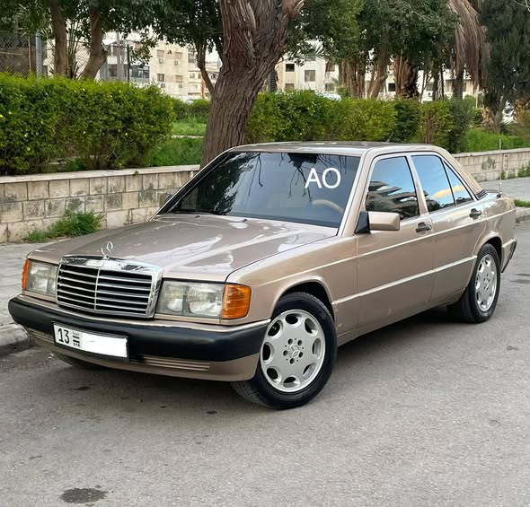 مرسيدس 190 1993 - صورة 2