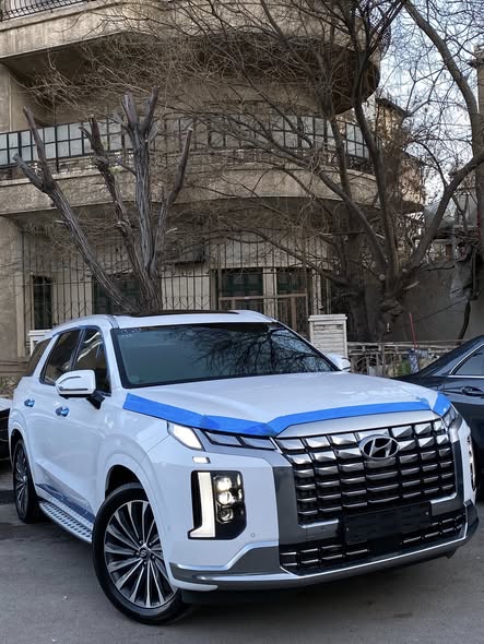 هيونداي باليسيد 2024 - صورة 2