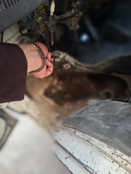 شانغه بيك أب 2004 - صورة 5