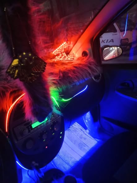 شانا شانا 2009 - صورة 3