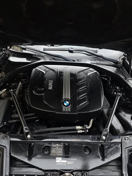 بي ام دبليو 520 2011 - صورة 5