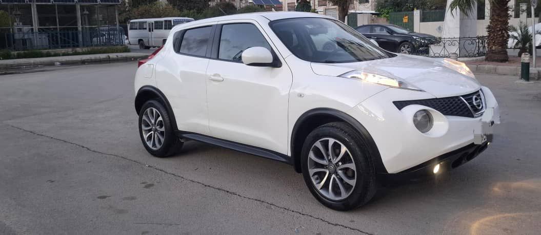 نيسان جوك 2014 - صورة 1